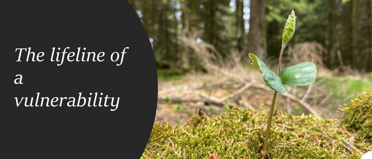 The Lifeline of a Vulnerability