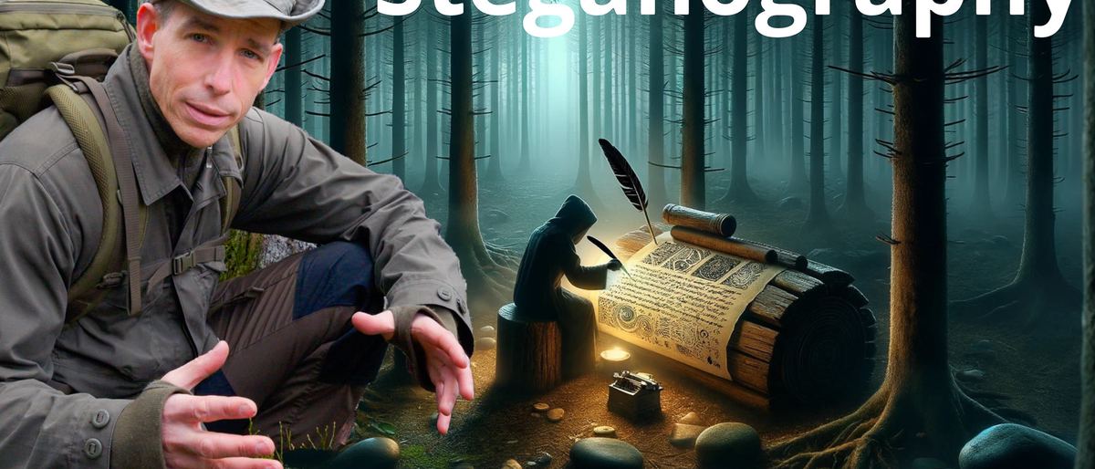 Beyond the Visible: Exploring the Depths of Steganography